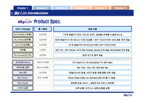 [서비스마케팅] [서비스마케팅]매출증대를 위한 스카이라이프 프로모션 전략(A+리포트)-8
