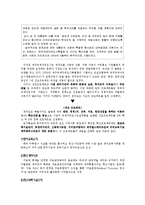 [지방정부론, 중앙정부론, 행정, 정부론] 중앙정부와 지방정부간의 관계 - 긍정적 관계를 바탕으로한 사례 : `제주국제자유도시`의 소개 및 평가 / 향후 가능성분석-4