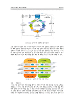 [평생교육] 원격교육 -E-learning중심으로-15