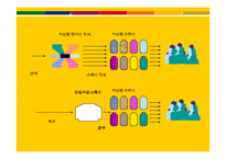 [경영정보시스템, mis] 베네통 benetton 월드투명성을 기반으로 한 경영정보시스템의 구축-11