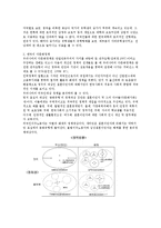 [한국의 다문화정책 현황과 발전전략] 한국의 다문화정책 현황과 발전전략-15