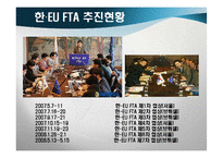 [경제학] 한-EU FTA 추진동향과 전망-4