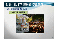 [경제학] 한-EU FTA 추진동향과 전망-15