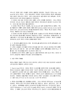 [루터의 종교개혁, 종교개혁] 루터의 사상과 종교개혁-10