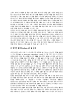 [전자상거래] 전자상거래(EC) 소비자피해의 유형, 전자상거래(EC) 거래단계별 소비자피해, 전자상거래(EC)의 피해 사례, 전자상거래(EC) 소비자보호를 위한 대응 과제, 전자상거래(EC) 이용 시 소비자 주의사항 분석-13