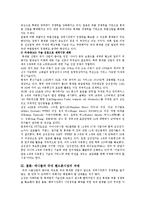 [마케팅원론] 삼성 애니콜의 마케팅 성공전략-13