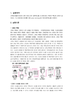 [화학공학]실험 예비 레포트 -승온탈착실험-2