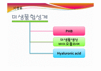 바이오플라스틱(BIO PLASTICS)-15