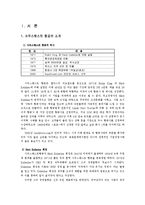 [인적자원관리론] 사우스 웨스트 항공사의 7S 모델분석-1