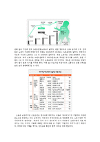 [경제사] 노동시장의유연성 비정규직보호법개정-4