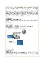 [국제마케팅] 하나코비 락앤락 해외 마케팅전략-13