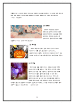 [프랜차이즈 사업계획서] 키즈 생일파티 전문 업체-14