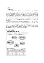 [국제경영] 삼성 애니콜 글로벌경영 사례-1