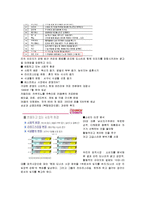 [마케팅] 던킨도너츠 마케팅분석-13