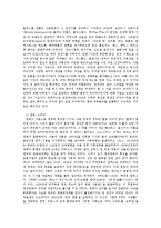 [사회과학] 세계의 대중문화-13