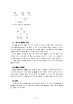 [국어] 국어학개설 용어정리(이익섭)-19