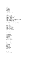 [촉진전략, IMC전략] 현대자동차 미국 수출용 아제라(Azera) 광고전략-10