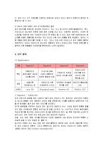 [마케팅] 리바이스의 마케팅전략(SWOT, STP, 4P)과 국내 성공요인 분석-9