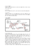 [마케팅] 세계적인 브랜드 코카콜라의 마케팅전략(SWOT, STP, 4P) 분석-5