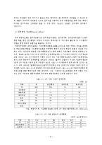 [졸업논문][지방정부론] 전자정부와 지방정부-11