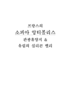 [장소마케팅] 프랑스의 소피아 앙티폴리스-1