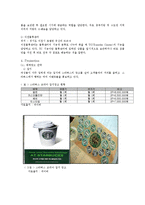 [경영학] 스타벅스와 커피빈 비교-19