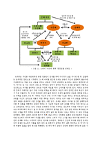 `아내의 유혹`을 통해 바라본 막장드라마의 인기 요인-13