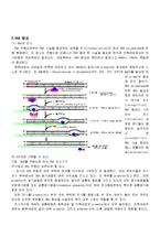 [세포학] DNA 복제-3