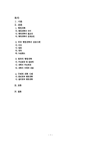 [행정개혁] 한국의 행정개혁-1