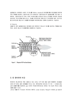 화공기초자료 - icp-ms-5