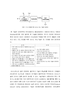 CCS에 대하여 레포트-15