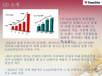 [다국적 기업 경영론] 트렉스타 Treksta(구 성호실업) 중소기업 해외진출 성공 사례-4