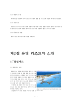 [레저산업론] 국내리조트 산업의 문제점과 해결방안-9