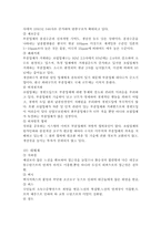 [기업경영]현대자동차 경영전략-9