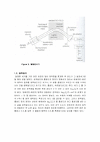 분광학을 이용한 농도분석 결과레포트-8