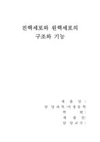 [공학]진핵세포와 원핵세포의 구조와 기능-1