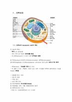 [공학]진핵세포와 원핵세포의 구조와 기능-2