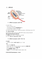 [공학]진핵세포와 원핵세포의 구조와 기능-6