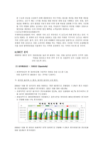 대한항공의 마케팅 광고 전략 분석-20