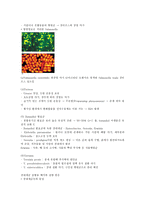 세균(박테리아) - 광합성 세균류,질소고정 박테리아,무기영양세균(Lithotrophs),메탄 산화 박테리아,Methanogens 등-2