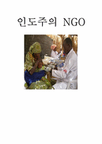 [시민사회와NGO] 인도주의의 NGO에 관한 분석-1