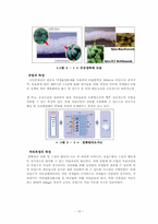 [졸업, 학사학위][토목공학] 친환경 에너지를 통한 淸川 프로젝트-11