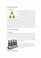 [졸업, 학사학위][토목공학] 친환경 에너지를 통한 淸川 프로젝트-17