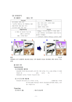 [글로벌마케팅] KICA `B2Y 헤어 아이론` 마케팅 전략-10