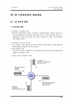 [행정학] 지역정보화에 대해서-3