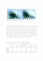 온도와 빛의 밝기가 벼의 성장에 미치는 영향 관찰-5