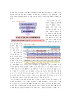 브랜드 이미지 제고를 위한 경영전략 -삼성 애니콜을 통하여-13