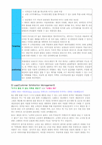 [서비스경영] 닌텐도 CSM-3