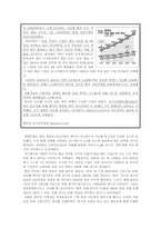 [중국경제론] 중국의 빈부격차와 경제성장에 관한 소고-5