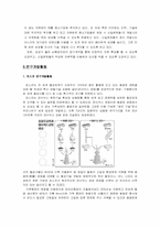 [국제경영] 포스코 vs 신일본제철 비교분석-17